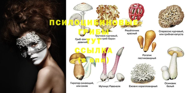 бутират Алексин